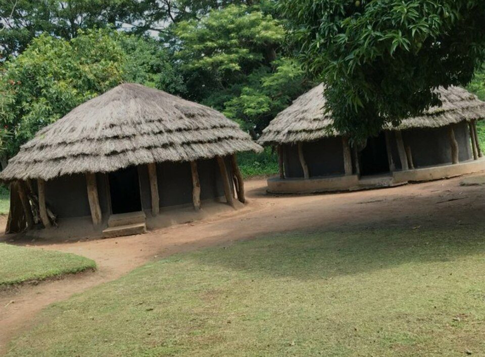 Placeholder: thatched homesteads in a village compound